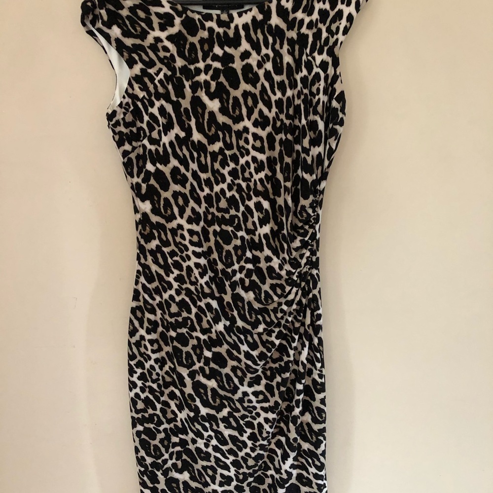 NWOT Animal print Catherine Malandrino dress